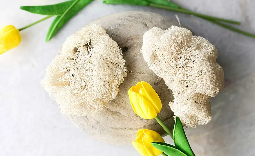 Productos de higiene sostenibles